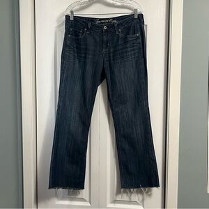 AMERICAN EAGLE true boot denim jeans women’s size 10 long boot cut blue